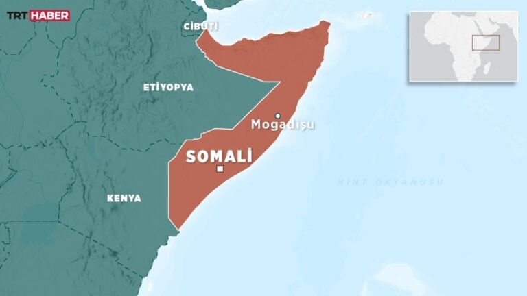 Somali, BAE ile güvenlik ve savunma alanındaki tüm anlaşmaları feshetti