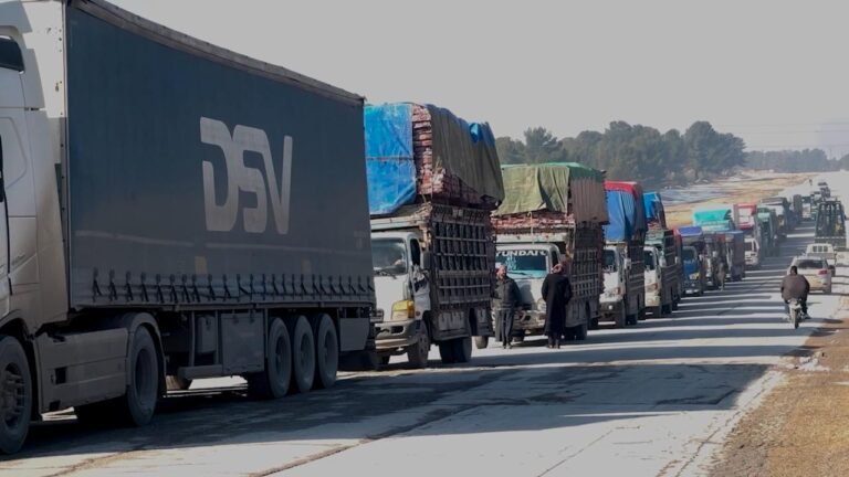Suriye hükümeti, Ayn el-Arap’a 24 araç yardım malzemesi gönderdi