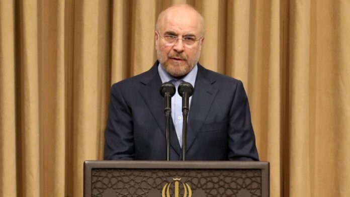 1779289340_muhammed-bakir-kalibafaa-2444668.jpg