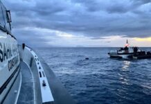 İzmir’de 24 düzensiz göçmen yakalandı