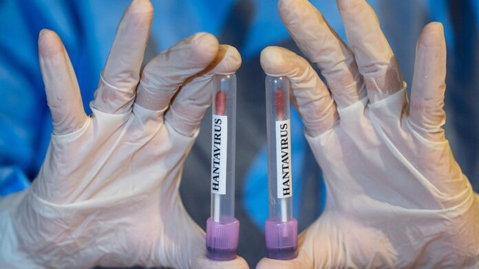 hanta-virus-2459282.jpg