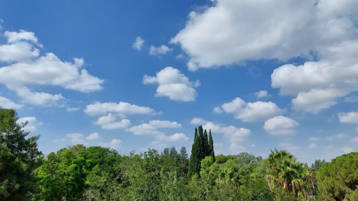 hava.jpg