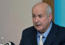 Gülbahar: Rum çıkarlarına hizmet eden “sözde federal çözüm” sürecine girilmemeli