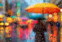 Meteoroloji uyardı: 4 ilde kuvvetli yağış bekleniyor