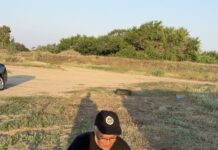 Her Daim Doğa Dostları’ndan Deniz Şebboyu için koruma çabası