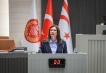 İncirli: “Ülkenin dijital güvenliği ciddi bir güvenlik meselesi”