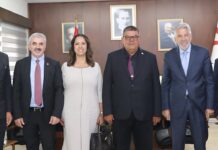 Berova, Vodafone Türkiye ve Telsim heyetini kabul etti