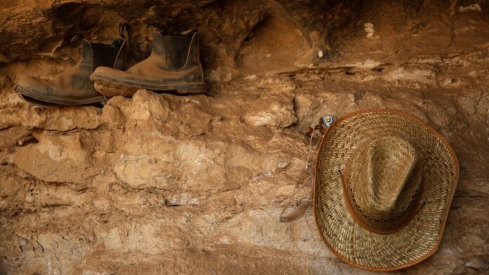arkeoloji-reu-1569243.jpg