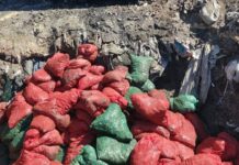 Soma’da bozuk 4 ton midye imha edildi