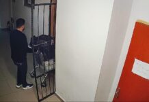Adli emanet hırsızlığından aranan şüpheliler teslim oldu