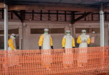 DSÖ uyardı: Ebola aylar önce başlamış
