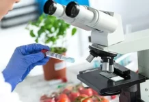 Denetimlerde bir ithal üründe limit üstü, 6 yerli üründe tavsiye dışı bitki koruma ürünü tespit edildi!