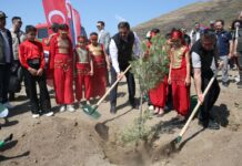 Hatay’da orman yangınında zarar gören alanlar ağaçlandırılıyor