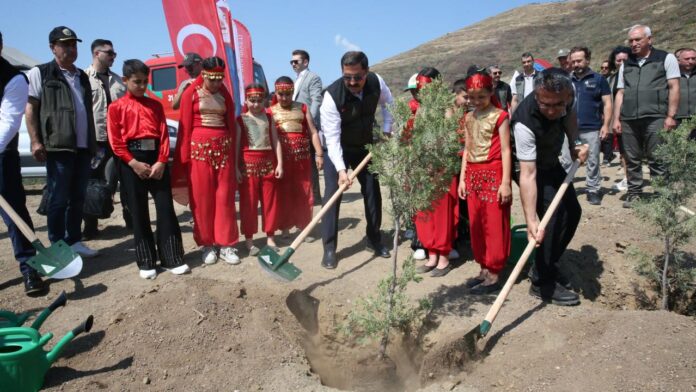hatay-agaclandirma-aa-2471281.jpg