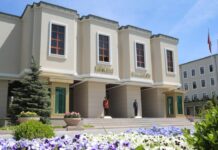 Viranşehir’deki sahipsiz köpek saldırısıyla ilgili müfettiş görevlendirildi