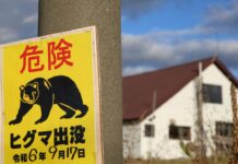 Japonya’da bir fabrikaya giren ayının “pencereyi açıp kaçtığı” düşünülüyor