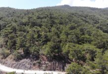 Bilecik’te ormanlık alan ve yaylalara girişler yasaklandı