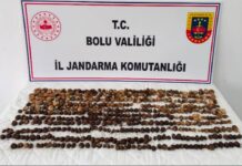 Bolu’da yabani salep toplayan kişiler 2 milyon lira ceza kesildi