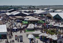 Sıfır Atık Festivali’nde son gün etkinlikleri