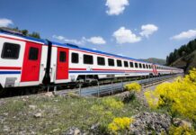 TCDD otla mücadele kapsamında tren yollarında ilaçlama yapacak