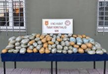 Van’da yaklaşık 291 kilogram uyuşturucu yakalandı