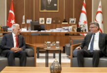 Cumhurbaşkanı Erhürman, Yıldırım ile görüştü