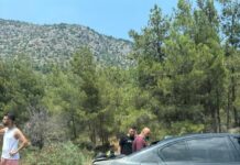 Boğaz Piknik Alanı karşısında araç alev aldı
