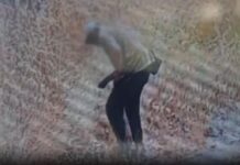 Ankara’da otluk alandaki yangınla ilgili bir şüpheli tutuklandı