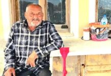 İzmir’de ayının saldırısına uğrayan kişi öldü