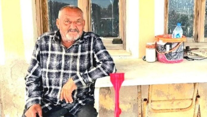 ayi-saldiran-adam-2473827.jpg