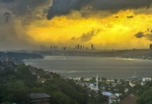 İstanbul’da fırtına: Çatılar uçtu, ağaçlar devrildi