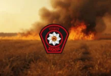 Güzelyurt’ta arazi yangını hasara neden oldu