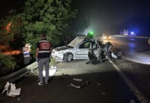 Tır arızalanan otomobile çarptı: 1 ölü