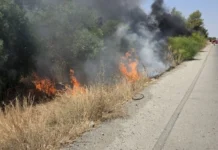 Kurudere yakınlarındaki ormanlık alanda yangın: 15 dönüm arazi zarar gördü