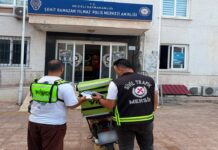 Mersin’de trafikte kavga eden sürücülere 362 bin lira ceza