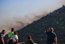 Mersin’de orman yangını: 145 kişi güvenli bölgelere nakledildi