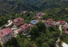 Ordu’nun ‘Sarı’ mahallesi: Herkesin soyadı aynı, resmi işler lakaplarla yürütülüyor