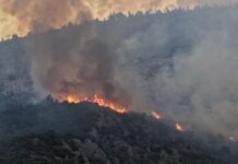 Kaş’ta orman yangınıyla mücadele ikinci gününde de sürüyor
