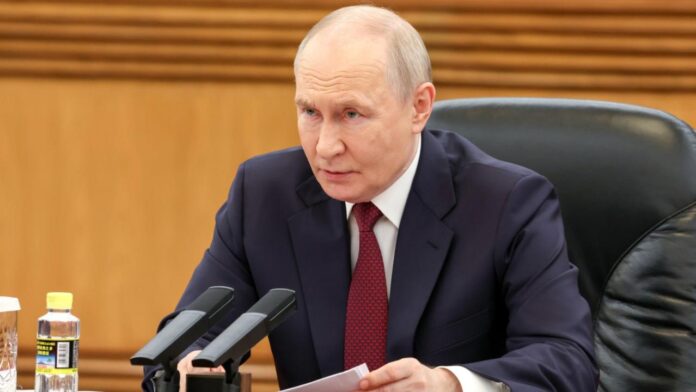 putinaa-2478317.jpg