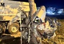 Sakarya’da ağaca çarpan otomobil ikiye ayrıldı