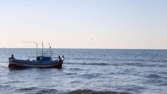samsun-sahilaa-2476710.jpg