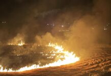 Şanlıurfa’da anız yakan kişilere 21,2 milyon lira ceza kesildi