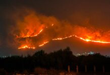 İtalya’nın Sicilya Adası orman yangınlarıyla mücadele ediyor