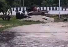 Tayland’da 11 yaşındaki çocuğun kullandığı kamyonun çarptığı 8 kişi öldü