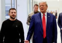 Zelenskiy, Trump ile telefonda görüştü