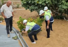 İnşaat Mühendisleri Odası silo faciasını yerinde inceledi