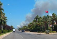 Antalya’da orman yangını