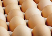 ABD’de milyonlarca yumurta salmonella şüphesiyle geri çağırıldı